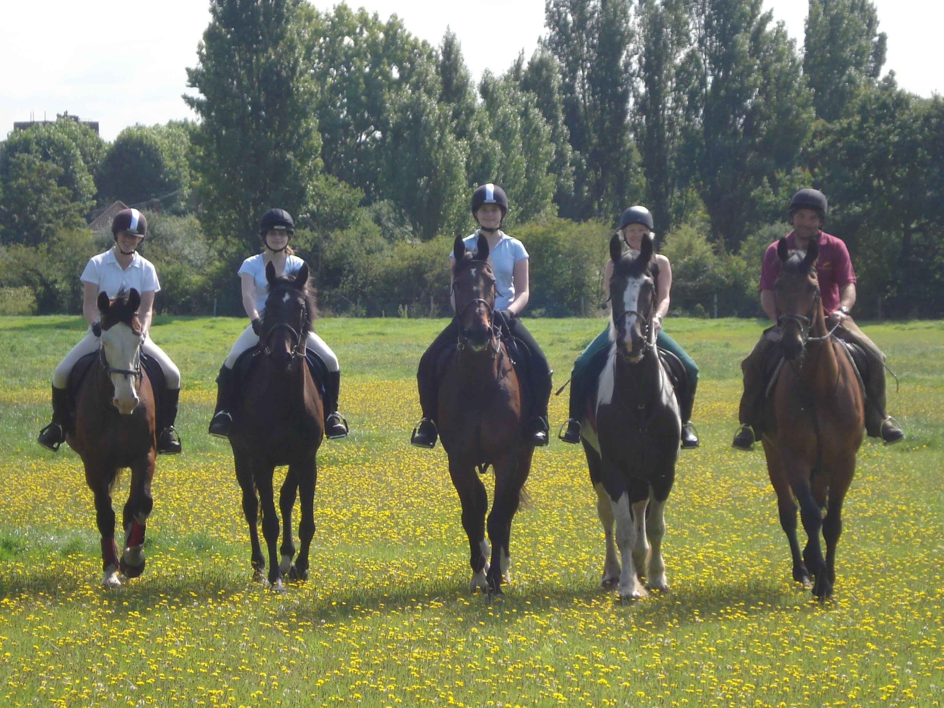Chessington Equestrian Centre Stableexpress